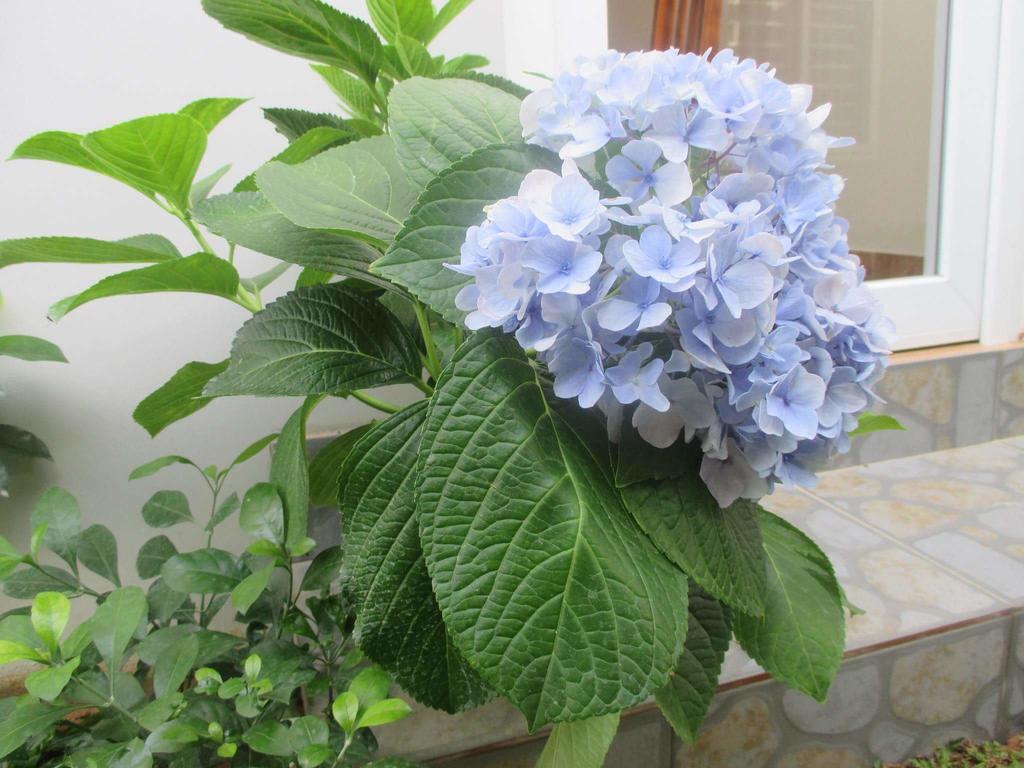 Manh Duyen Garden Homestay Phú Quốc Exterior foto